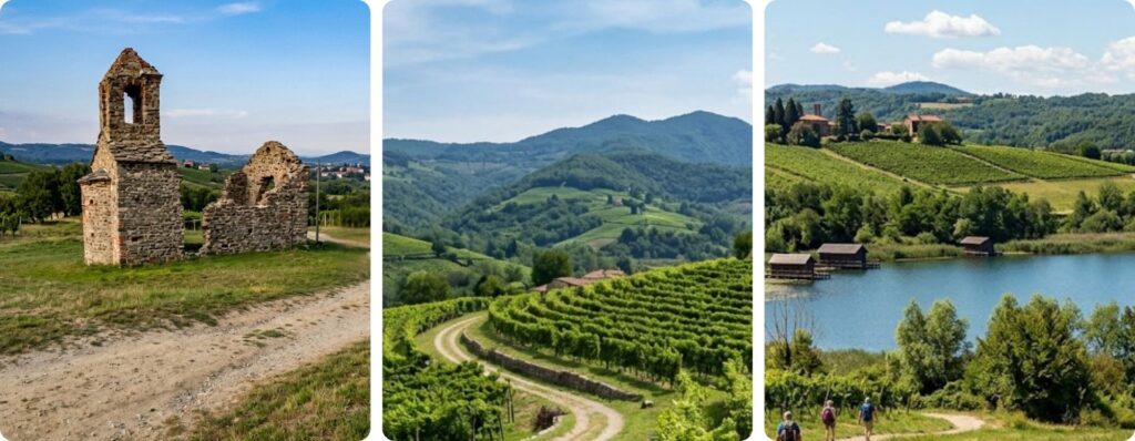 Gesiùn: Ruderi della Gesiùn a Piverone lungo la Via Francigena nel Canavese. Sentiero della Via Francigena Morenico-Canavesana tra i vigneti. Lago di Viverone, meta finale del tratto canavesano della Via Francigena.